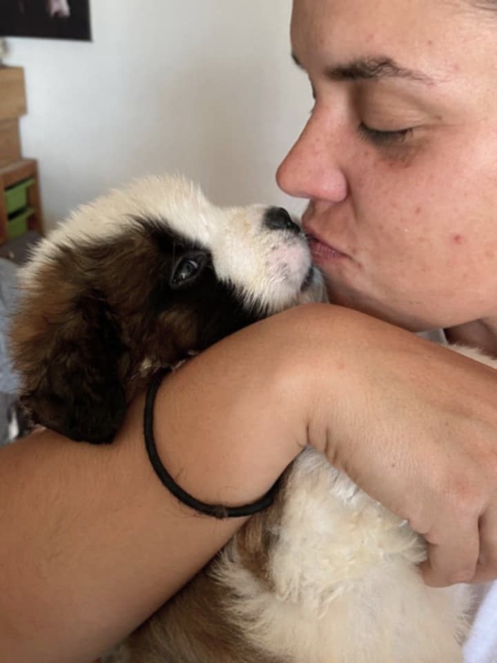   2  BB MALES  LOF  DISPONIBLES 