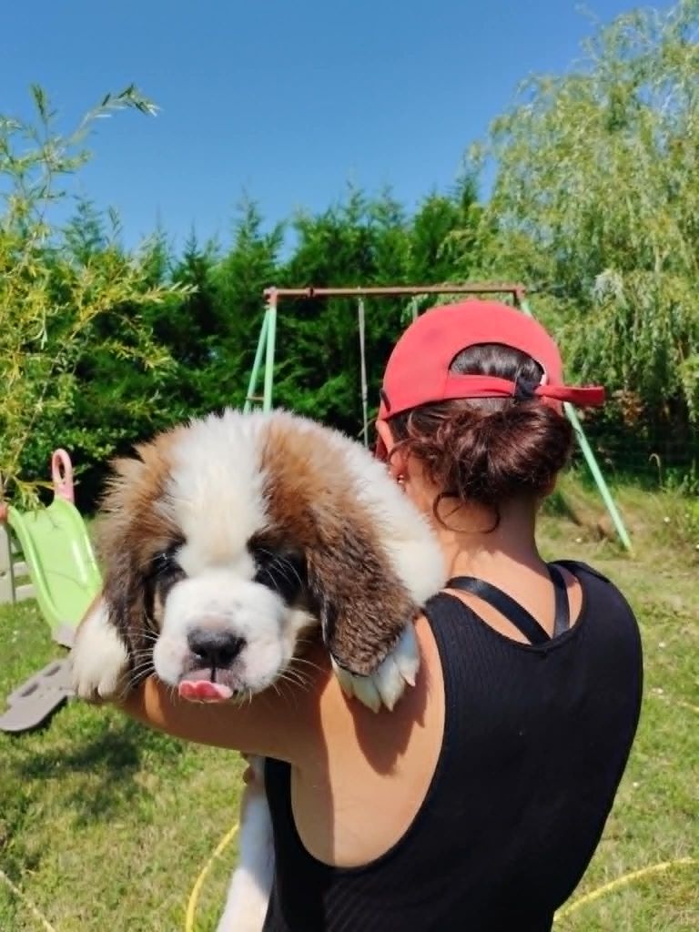  ATHOS ATTENDS S A  FAMILLE  POURLA VIE  